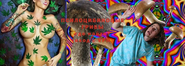 гидропоника Алексеевка